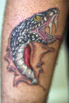 Snake forearm tattoo