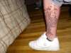 Tree-Morphing Doves tattoo