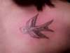 beths swallow tattoo