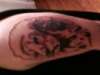 free handed lion tattoo