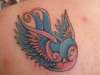 pink and blue swallow  rate me please tattoo