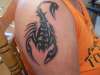 tribal scorpion  rate my ink please tattoo