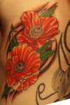 Poppies tattoo