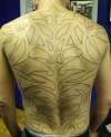 Tribal Backpiece tattoo