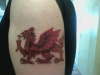 WELSH DRAGON tattoo