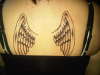 Wings tattoo