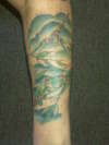 dragonfly/tree frog tattoo