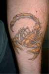 scorpion updated tattoo