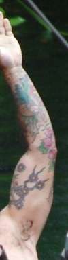 sleeve tattoo