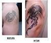 Before and after - Phoenix Tribal tattoo