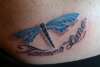Dragonfly (with son's name) tattoo