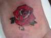 New rose tattoo