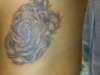 Rose on ribcage tattoo