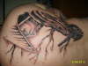 Samurai Warrior tattoo