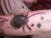 Spider tattoo