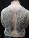 Wings tattoo