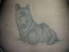 Wolf tattoo