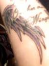 new wings tattoo