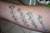 persian blue tattoo