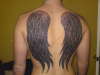 Angel Wings tattoo