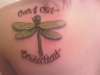 Coheed and Cambria dragonfly w/ lyrics tattoo