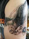 My eagle tattoo