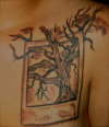 Oak Tree Polaroid tattoo