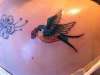 Right bird-on my back tattoo
