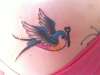 Left bird-on my back tattoo