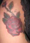 Rose tattoo