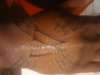 Webb tattoo