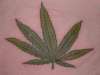 Marijuana Leaf tattoo