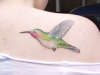 Hummingbird tattoo