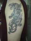 Tiger tattoo