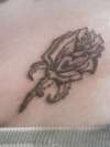 my first rose tattoo