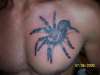 raised spider tattoo
