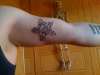 star of skulls tattoo