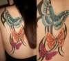 3 butterflies tattoo