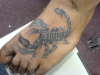 Scorpion tattoo