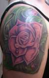 The Rose tattoo