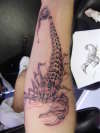 darkshade scorpian tattoo