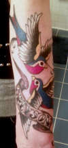 graysons birds tattoo