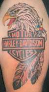 Harley Eagle w/ Featghers tattoo