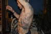 more tattoo