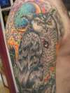 owl over st. louis tattoo