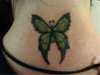 Butterfly tattoo