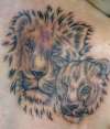 Lion & lioness tattoo
