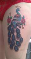 Peacock upper left leg finished tattoo