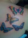 butterfly's tattoo