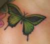 green butterfly tattoo